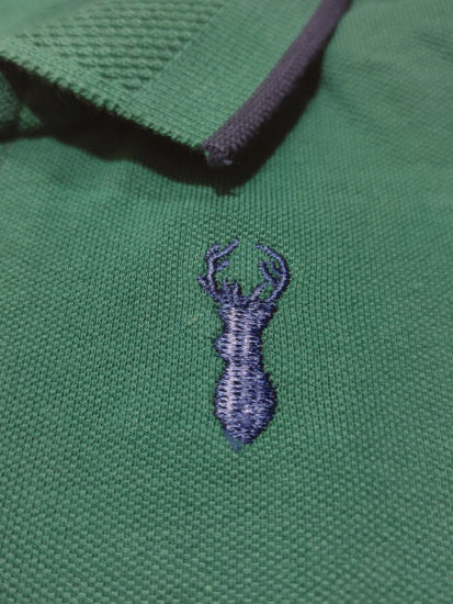 Boys Polo Shirts Flag Green