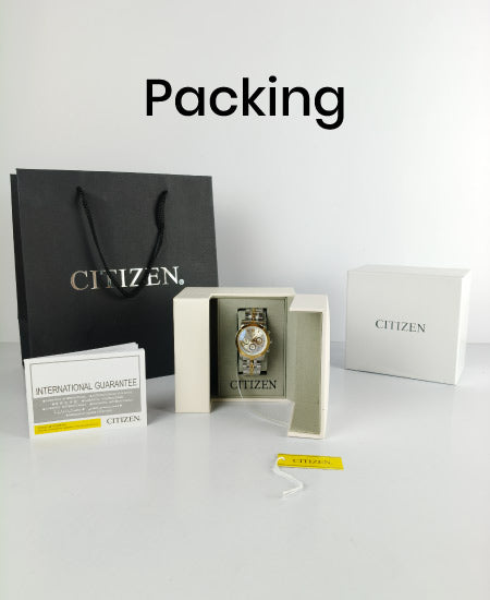 Citzn Ladies Watch