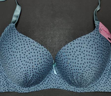 Little Leaves Pushup Bra Blue 42