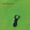 Amazon leftover Pakistan Boys Polo parrot Green