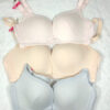 Amazon Leftover Japanese Soft Feeding C-Cup Bra