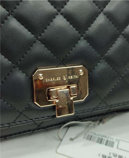 Charles and Keith Handbag