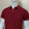 Tommy Hilfiger Mehroon Polo Shirts