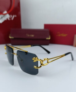 Cartier Sunglasses Price in Pakistan