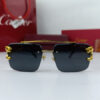 Cartier Sunglasses Price in Pakistan