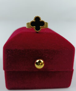 Alternative view of Jewelry Ring 0002