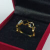 Ring Black 0004