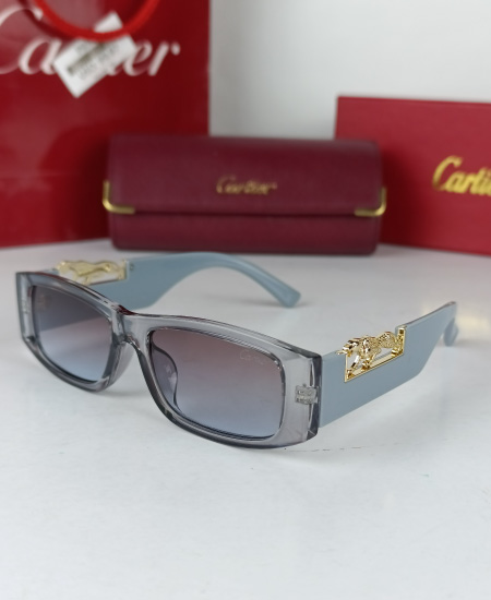 Cartier Sunglasses Gray Leopard CRT82 - Image 3