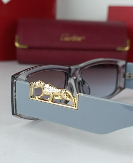 Cartier Sunglasses Gray Leopard CRT82 - Image 4