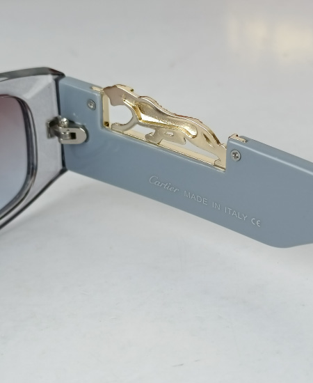 Cartier Sunglasses Gray Leopard CRT82 - Image 5