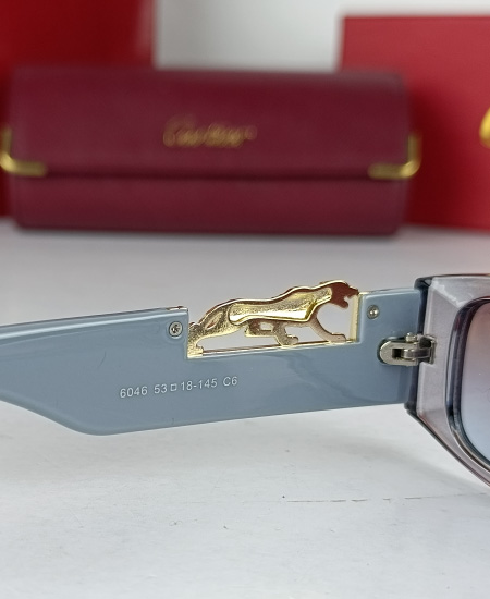 Cartier Sunglasses Gray Leopard CRT82 - Image 6