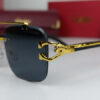 Cartier Sunglasses in Pakistan