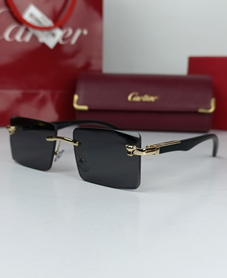 Cartier Sunglasses Legends CRT73 - Image 3