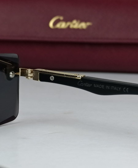 Cartier Sunglasses Legends CRT73 - Image 5