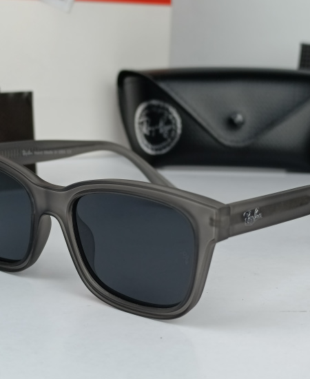 Ray-Ban Burbank Polarized Sunglasses