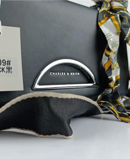 Charles and Keith Handbags