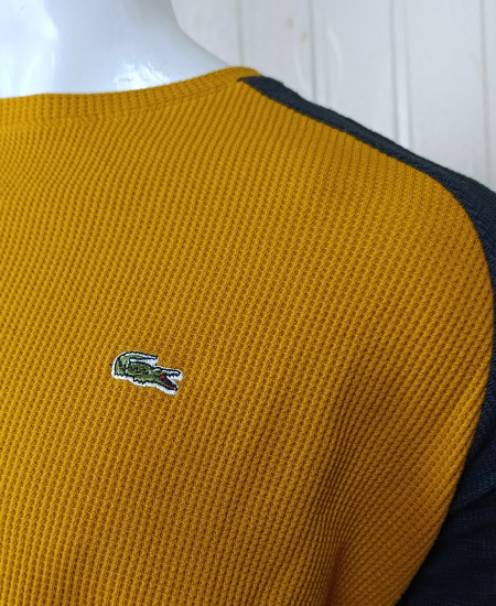 Lacoste Sweatshirts Mustard Black - Image 3