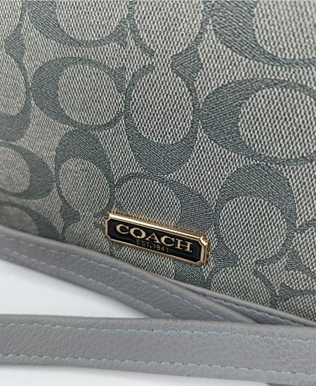 Coach Handbag Gray