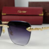 Cartier Sunglasses Snake CRT-112