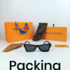 LV Sunglasses Packing